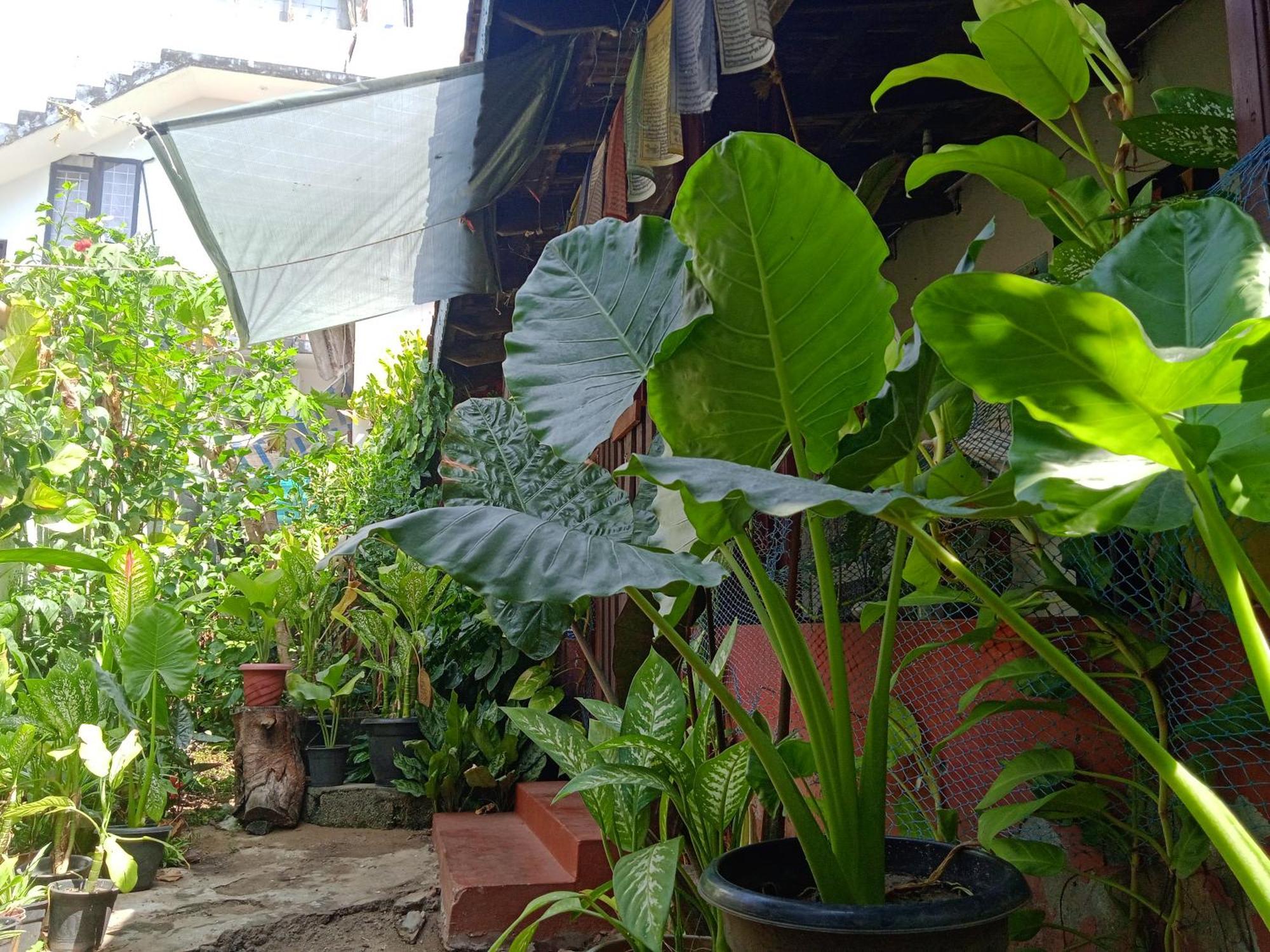 The Blues Hotel Alappuzha Екстериор снимка