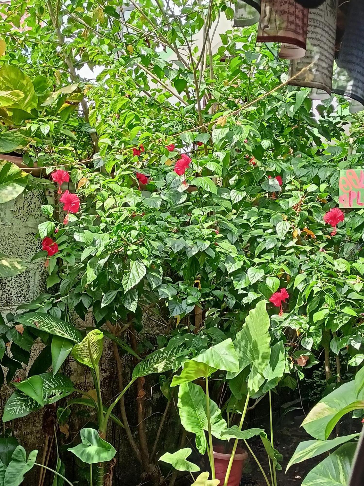 The Blues Hotel Alappuzha Екстериор снимка